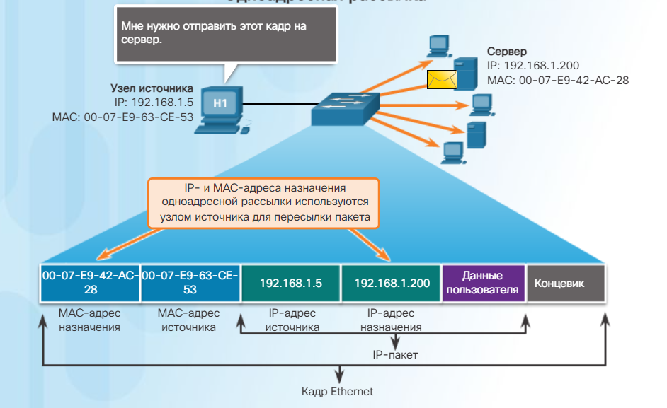 Порты tcp udp. Основные сетевые протоколы и их порты. Какие порты используются протоколами. Tcp ip udp. Таблица портов и протоколов.